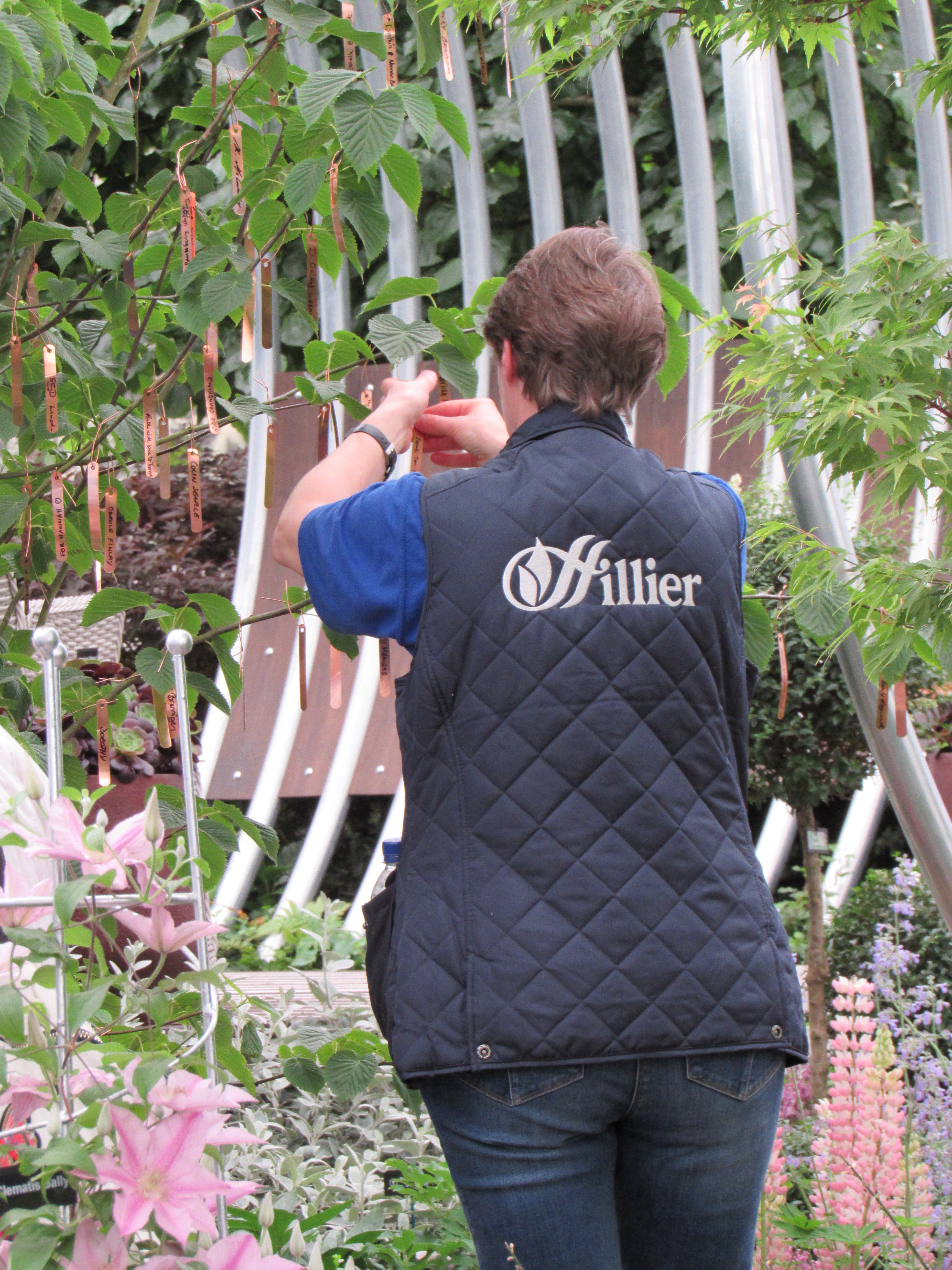 Hillier Garden Centres Taylor Made Designs
